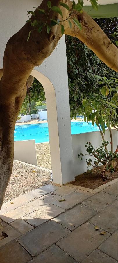 Vue Ocean Διαμέρισμα Portimão Εξωτερικό φωτογραφία